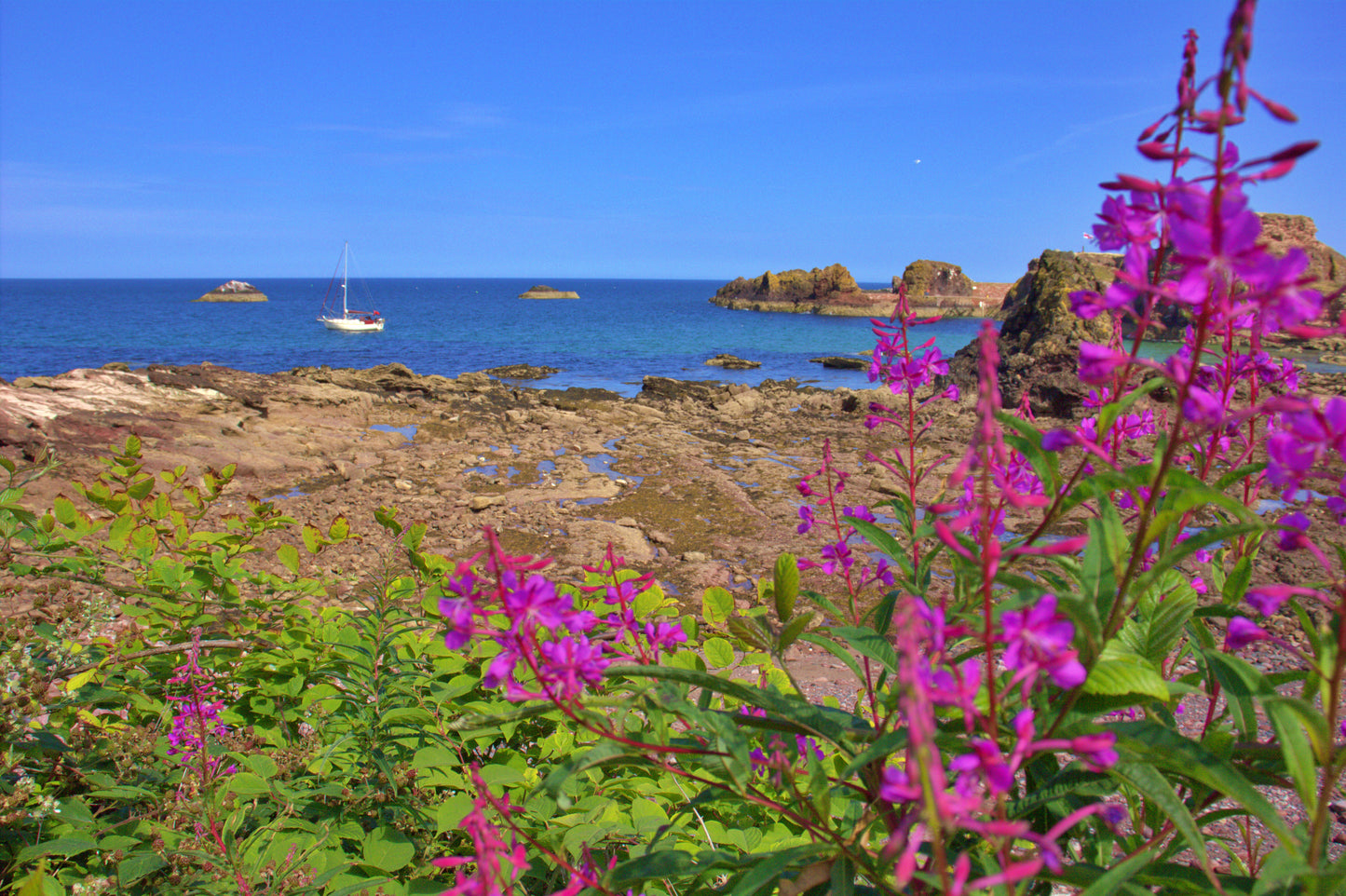 Anchored In Colour