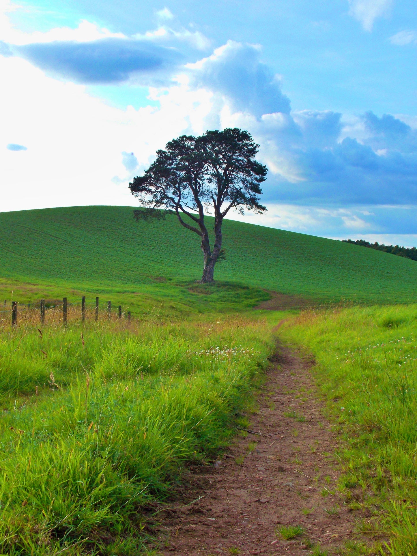 A Quiet Path