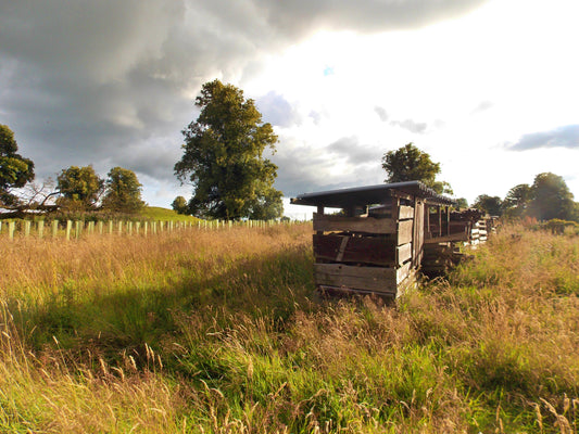 Weathered Wood Store